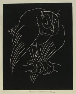 Image of The Owl