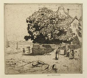 Image of Fig Tree, Ile-aux-Moines
