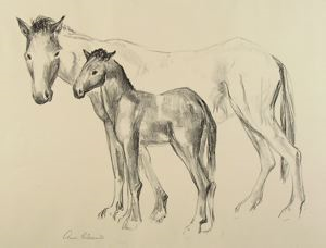 Image of Mare and Foal