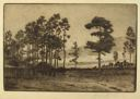 Image of Southern Pines