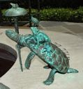 Image of The Till Fountain: Turtle with Umbrella