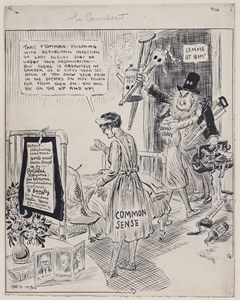 Image of The Convalescent