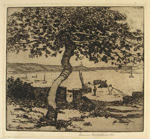 Image of The Twisted Oak, Ile-aux-Moines