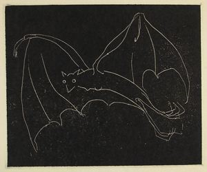 Image of The Bat