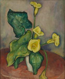 Image of Yellow Calla Lilies