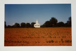 Image of Church Across Early Cotton—Pickinsville [sic], Alabama