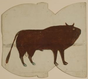 Image of Bull