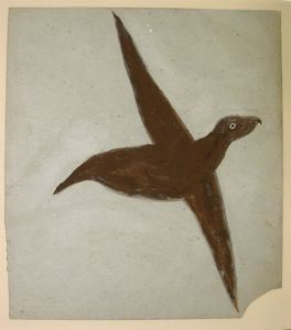 Image of Bird