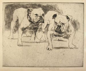 Image of Two Bull Dogs