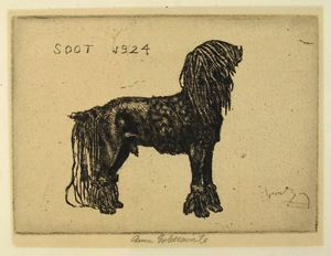 Image of Soot—A Portrait