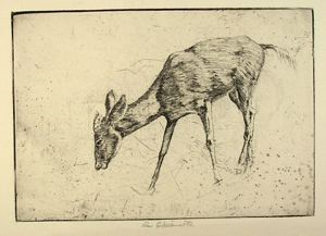 Image of Deer Grazing
