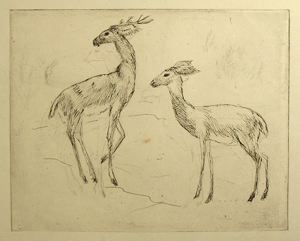 Image of Stag and Doe (No. 1)