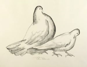 Image of Pigeons (Cock and Hen)