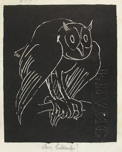 Image of The Owl