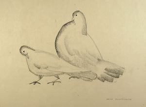 Image of Study for Pigeons (Cock And Hen)