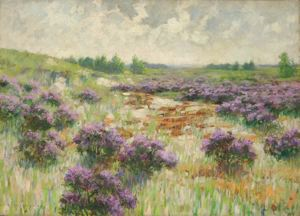 Image of Field of Heather