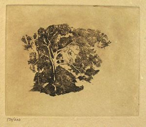 Image of Tree Study