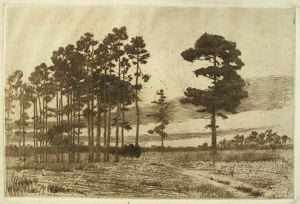 Image of Southern Pines