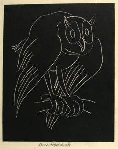 Image of The Owl