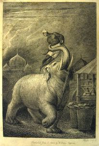 Image of The Elephant (Frontispiece)
