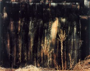 Image of Wall of Black Building, Newbern, Alabama, 1991