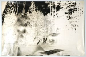 Image of In the Country (Negative)