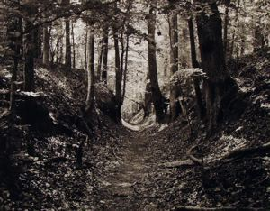 Image of Sunken Trace