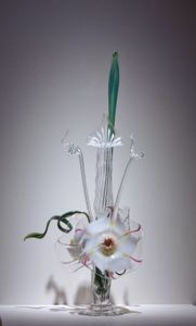 Image of White Bouquet
