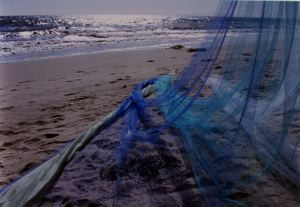 Image of Pacific Waves: California, Orange County