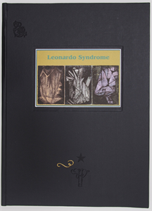 Image of The Leonardo Syndrome