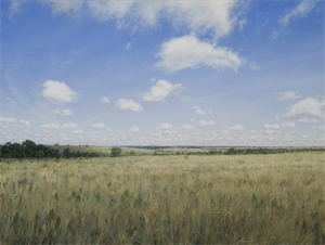 Image of Black Belt Prairie c. 1775, Montgomery County, Alabama