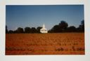 Image of Church Across Early Cotton—Pickinsville [sic], Alabama