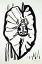 Image of Lady Bug