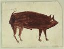 Image of Pig