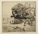 Image of Fig Tree, Ile-aux-Moines