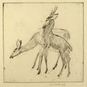 Image of Stag and Doe (No. 2)