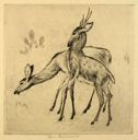 Image of Stag and Doe (No. 2)