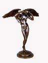 Image of Descending Night