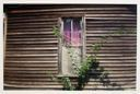 Image of Window with Lavender Curtain, Greensboro, Alabama