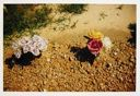 Image of Grave with Two Flower Arrangements, Hale County, Alabama