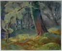 Image of Untitled (Forest Interior)