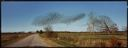 Image of Birds, Perry County, Alabama